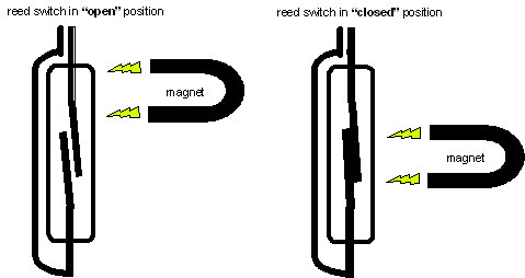 reed--switch.jpg